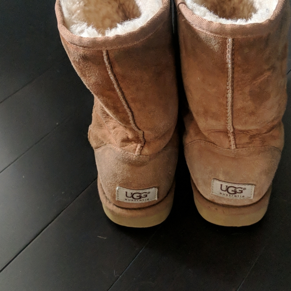 Classic Uggs - image 3